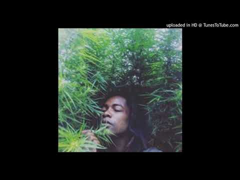 BADMILITANT FREESTYL