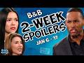 Bold and the Beautiful 2-Week Spoilers Jan 6-17: Luna Eyes Will & Steffy Sabotages Carter