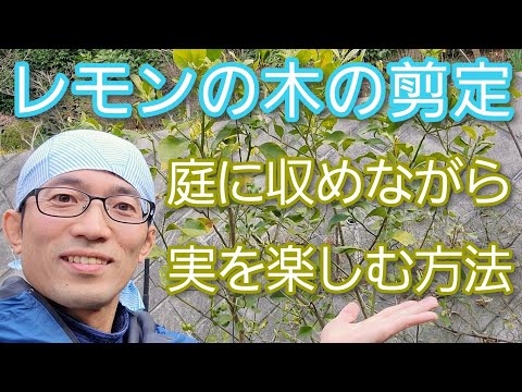 6月に庭で何を剪定しますか？やり方は？完全なガイドをご覧ください。  庭園