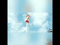 Vijay Flag Tvk