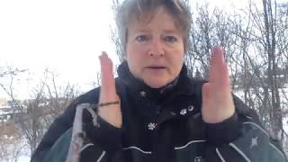 Energy Tune-up:  Immune System Booster