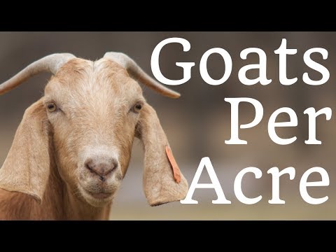 How Many Goats Per Acre?