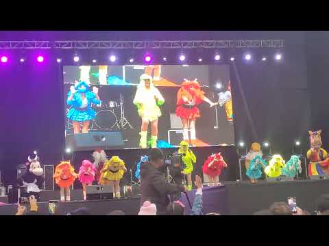 Disco Disco - Yola Polastri