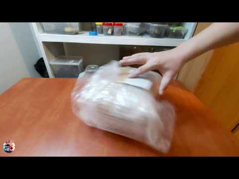 unboxing ptaszników-czy dobrze zostały spakowane !!!!