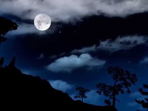 Luna lunella - Francesco Manente