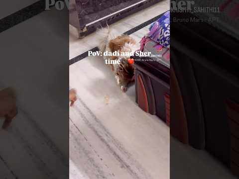 Precious time🩷🐾 #precious #trending  #dogshorts #reelsvideo #reelsidea #petsofyoutube #petslove