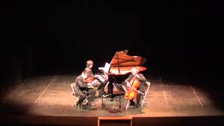 Astor Piazzolla: La muerte del ángel (by Trio Vivo)