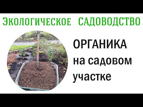 ОРГАНИКА на садовом участке (от А до Я)