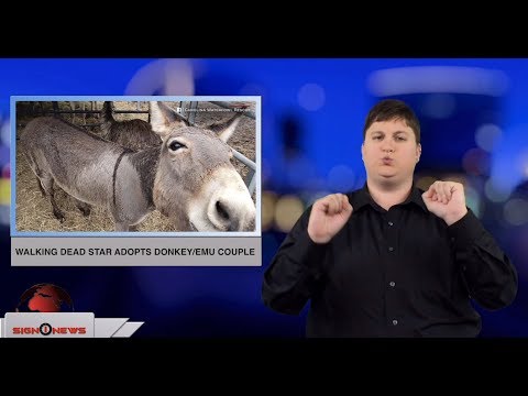 Walking Dead star adopts donkey/emu couple (ASL - 12.6.18)