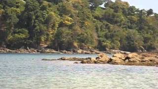 preview picture of video 'Seagullcove Lodge Boca Chica Panama'