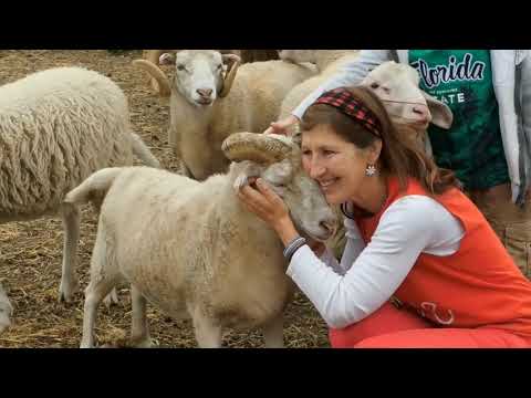 Azyl pro týraná a opuštěná zvířátka Pohádková zahrada