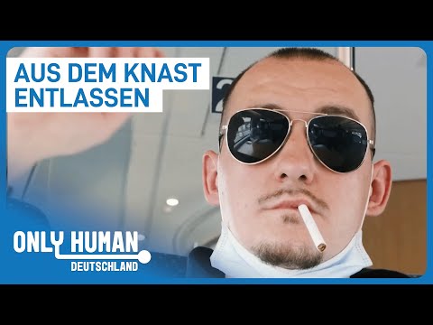 Best of Garfield - Kriminell, Weggesperrt, Entlassen