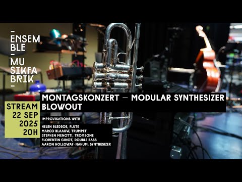 Montagskonzert – Modular Synthesizer Blowout