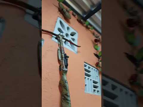 Em Caldazinha de Goiás