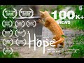 HOPE Award Winning Malayalam Short Film Pendulum Films 2018