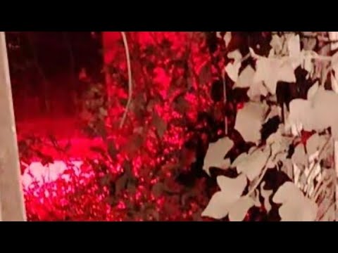 URBEX PARANORMAL DANS LA CLINIQUE !! LA PIRE SOIRÉE D'URBY 😱😱!!