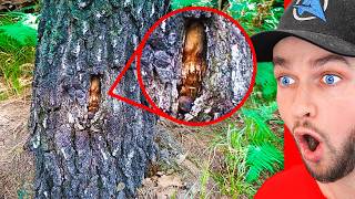 1 Hour of World's *CRAZIEST* Discoveries! MQDEFAULT Thumbnail