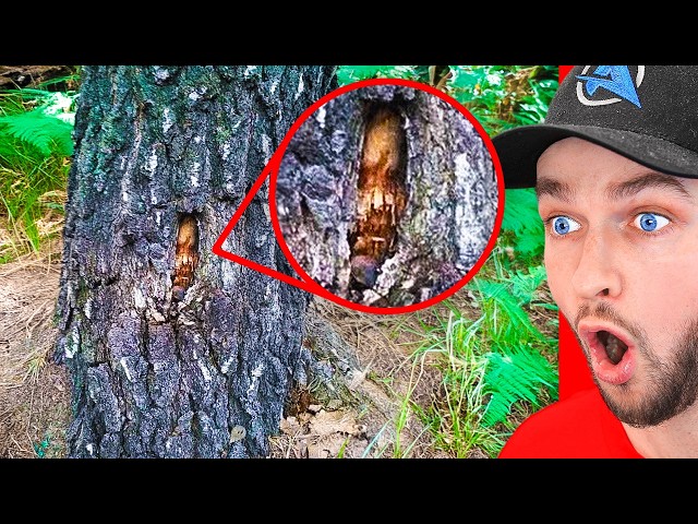 1 Hour of World's *CRAZIEST* Discoveries! SDDEFAULT Thumbnail