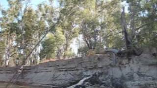 preview picture of video 'Trolling lures Tocumwal'