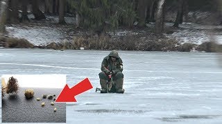 Ссылка