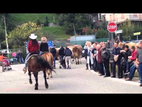 Transumanza 2015 Nebbiuno|Lago Maggiore channel #2