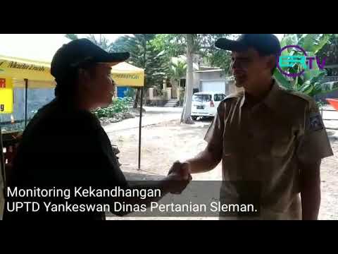 Kunjungan UPTD Yankeswan Dinas Pertanian Sleman di Kekandhangan