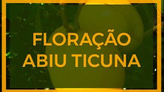 Miniatura do vídeo