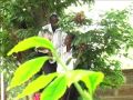 Tazama Mume Wangu SuperconquerorBFC