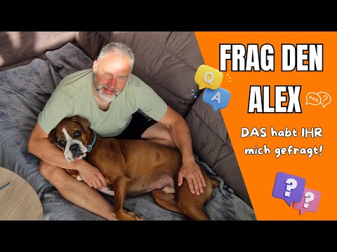 Honest answers about veganism, dogs, everyday life & cooking - Ask Alex