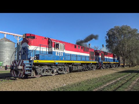 Tren cargado de NCA con tándem de Locomotoras ALCo RSD16 8239 + 8254 saliendo de Arroyo Cabral