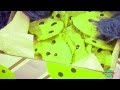 Furchester Hotel Cookie Monster Gets Surprised About The Cookies Changing Color