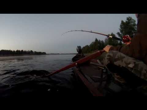 4.8.2020 Lohi 12.5kg 104cm Jarhoisenniska!