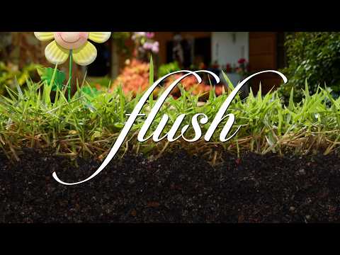 Adult Shorts Series FLUSH: Teaser [E004-006]