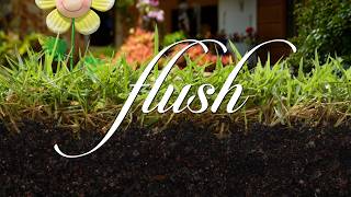 Adult Shorts Series FLUSH: Teaser [E004-006]