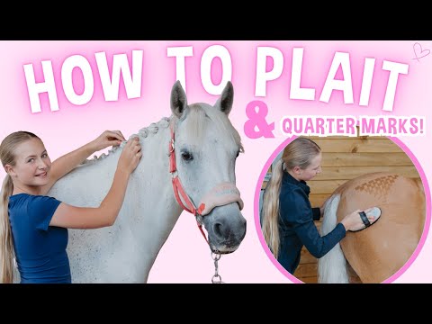 LEARN HOW TO PLAIT UP A HORSE AND DO QUARTER MARKS!
