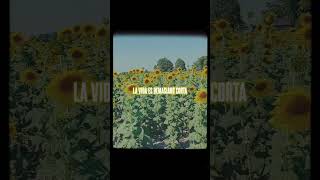 Moving On (Spanish Lyric) // Mat Kearney