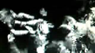 Brutal Truth - Wilt [live]