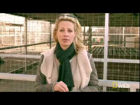 Alison Eastwood Speaks The Truth About G.W. Exotic
