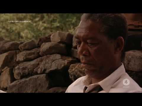 Le Ali della Libertà -Tim Robbins Morgan Freeman