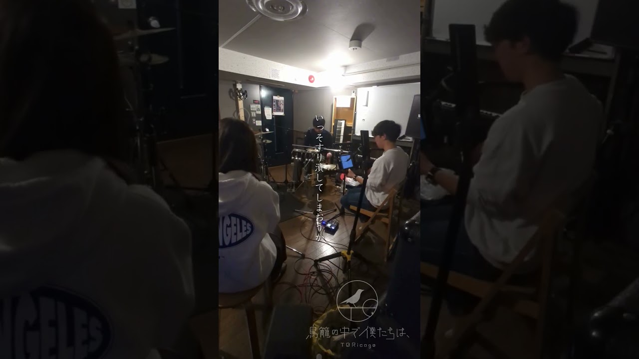 「角砂糖」という曲です。#角砂糖 #toricago #オリジナル曲