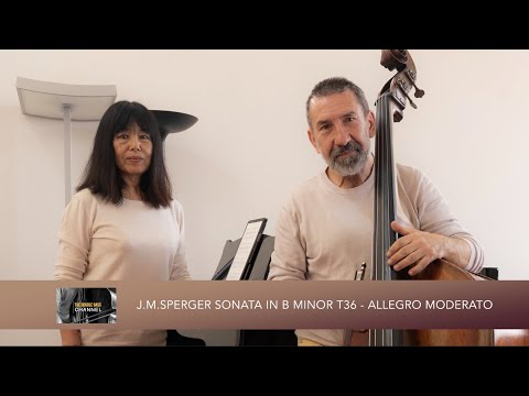 Sperger Sonata B minor T36 - Allegro Moderato