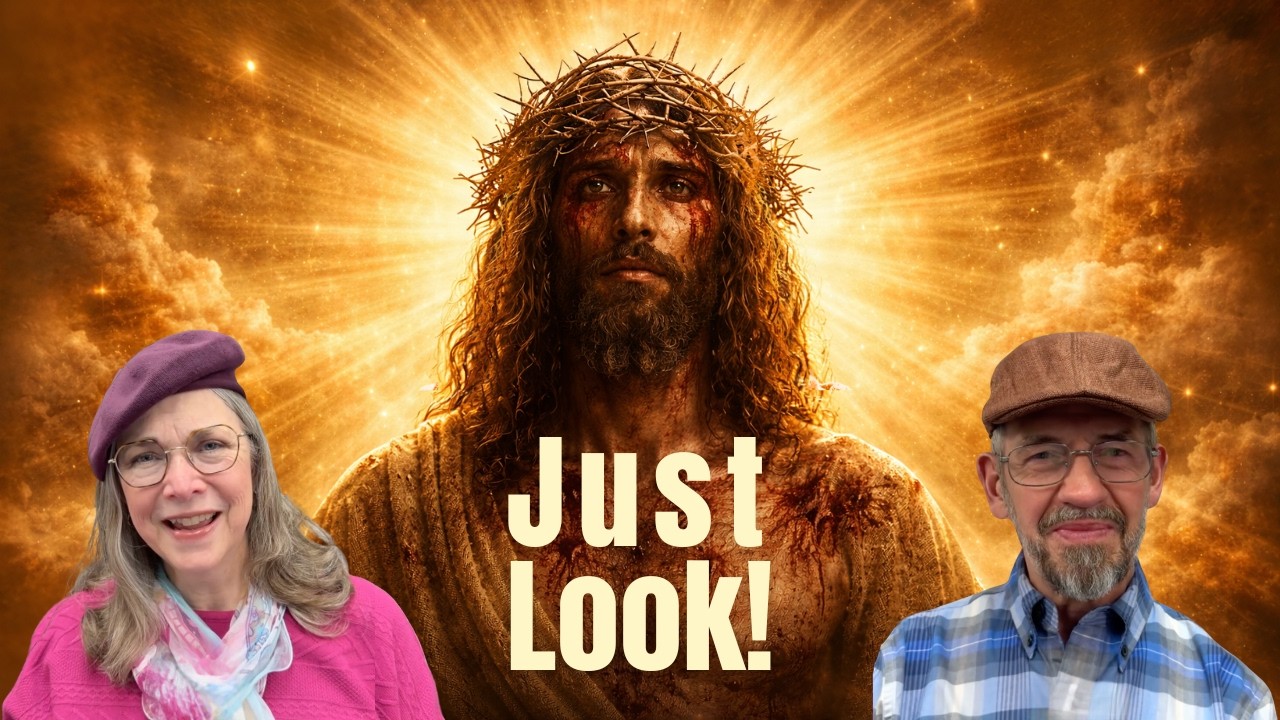 (312) “Just Look!”