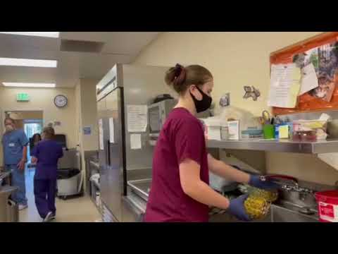 Diet Aide Opening