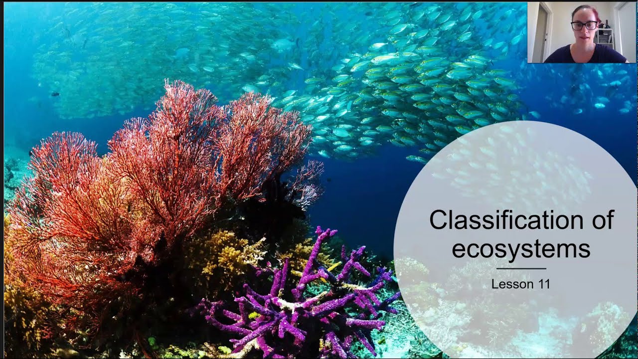 Ecosystem classification (Part 1) - YouTube