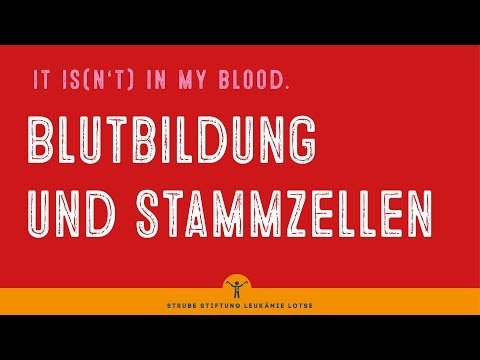 Blood formation and stem cells - understanding disease