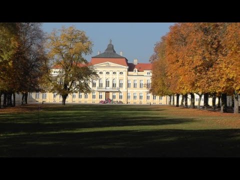 Palácio em Rogalinie. Palácio em Rogalin. Le château de Rogalin