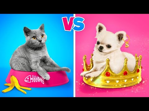 Rich Dog VS Poor Cat | If Billionaire VS Broke Family Adopted a Pet
