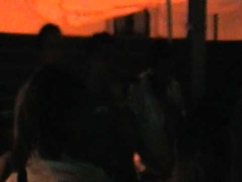 croco beach pozzallo 2008