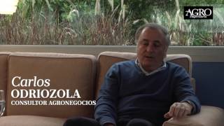 Carlos Odriozola - Consultor Agronegocios