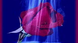 DiL Ki DaRo DiwaR Pe - YouTube